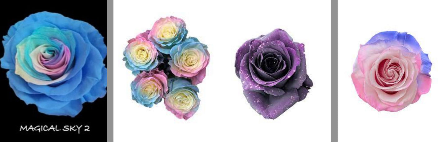 Roses by Dozen