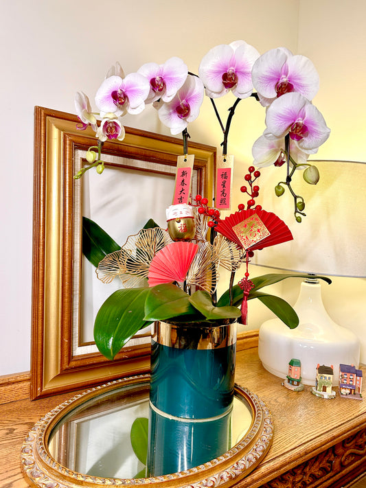 2 Stems Assorted Orchids arrangement