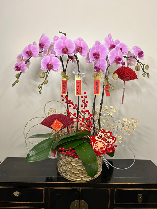 4 Stems Assorted Orchids arrangement