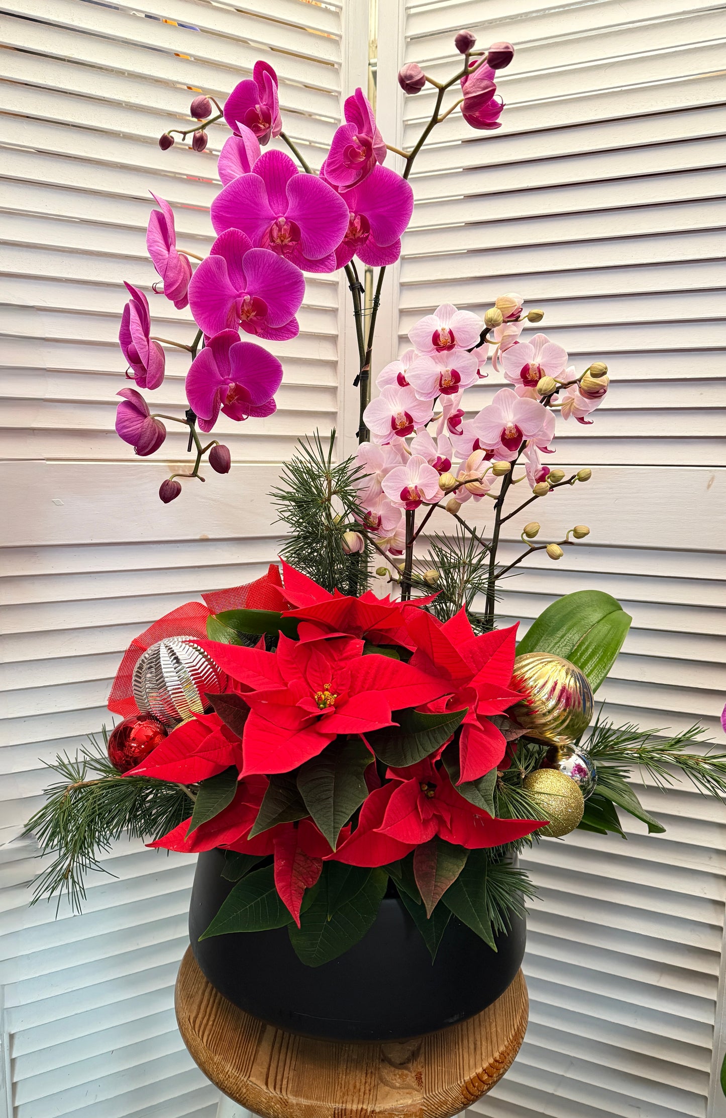 Christmas Orchids w/tropical arrangement