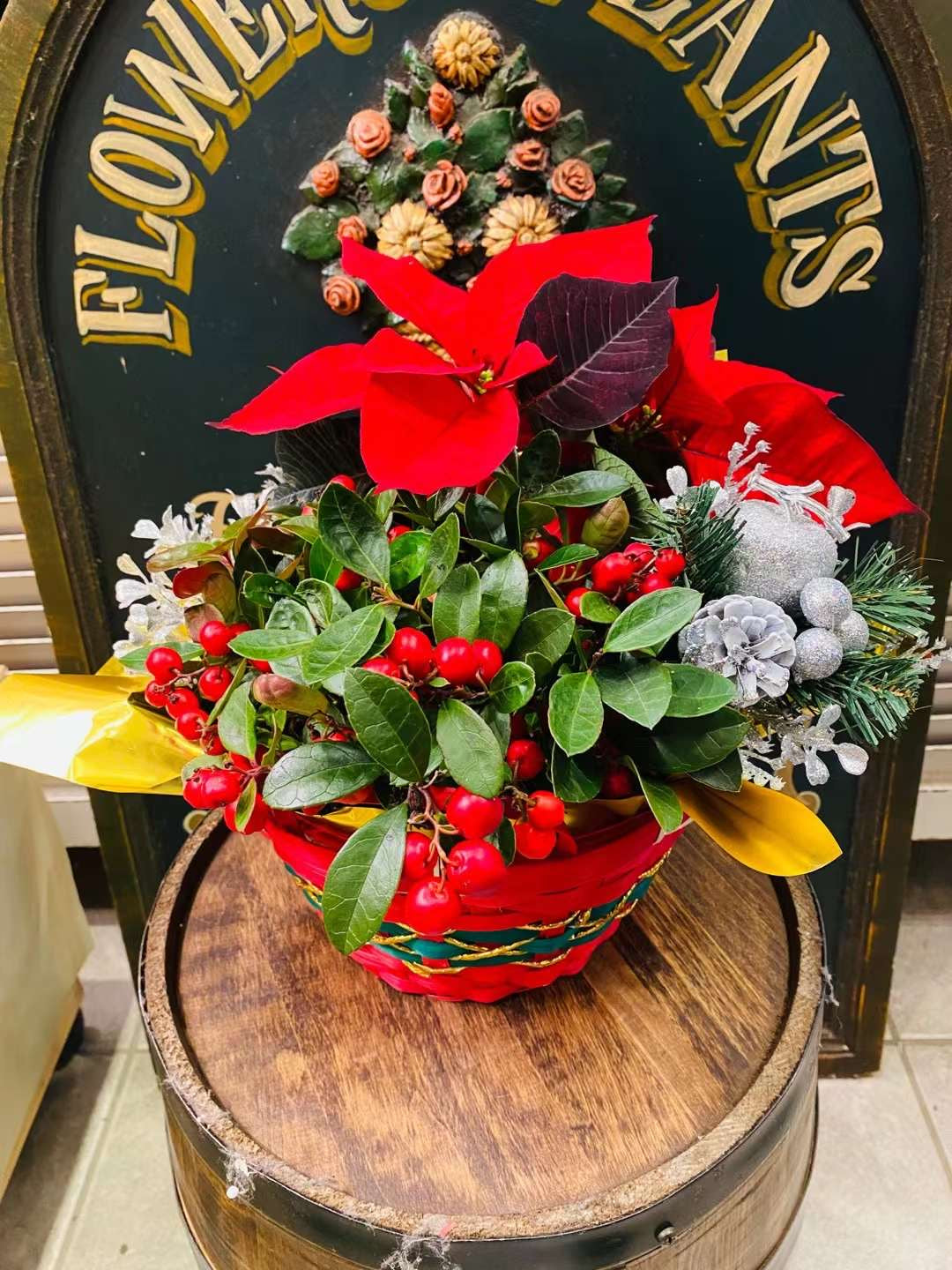 Christmas basket with Poinsettia