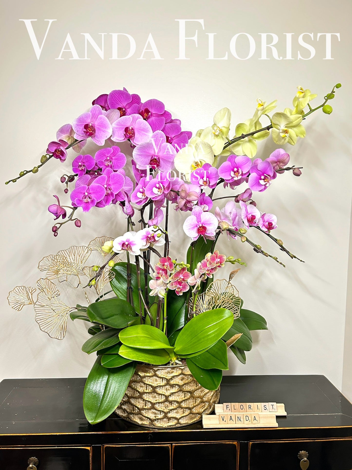 12 Stems Assorted Orchids arrangement (Pre-order)
