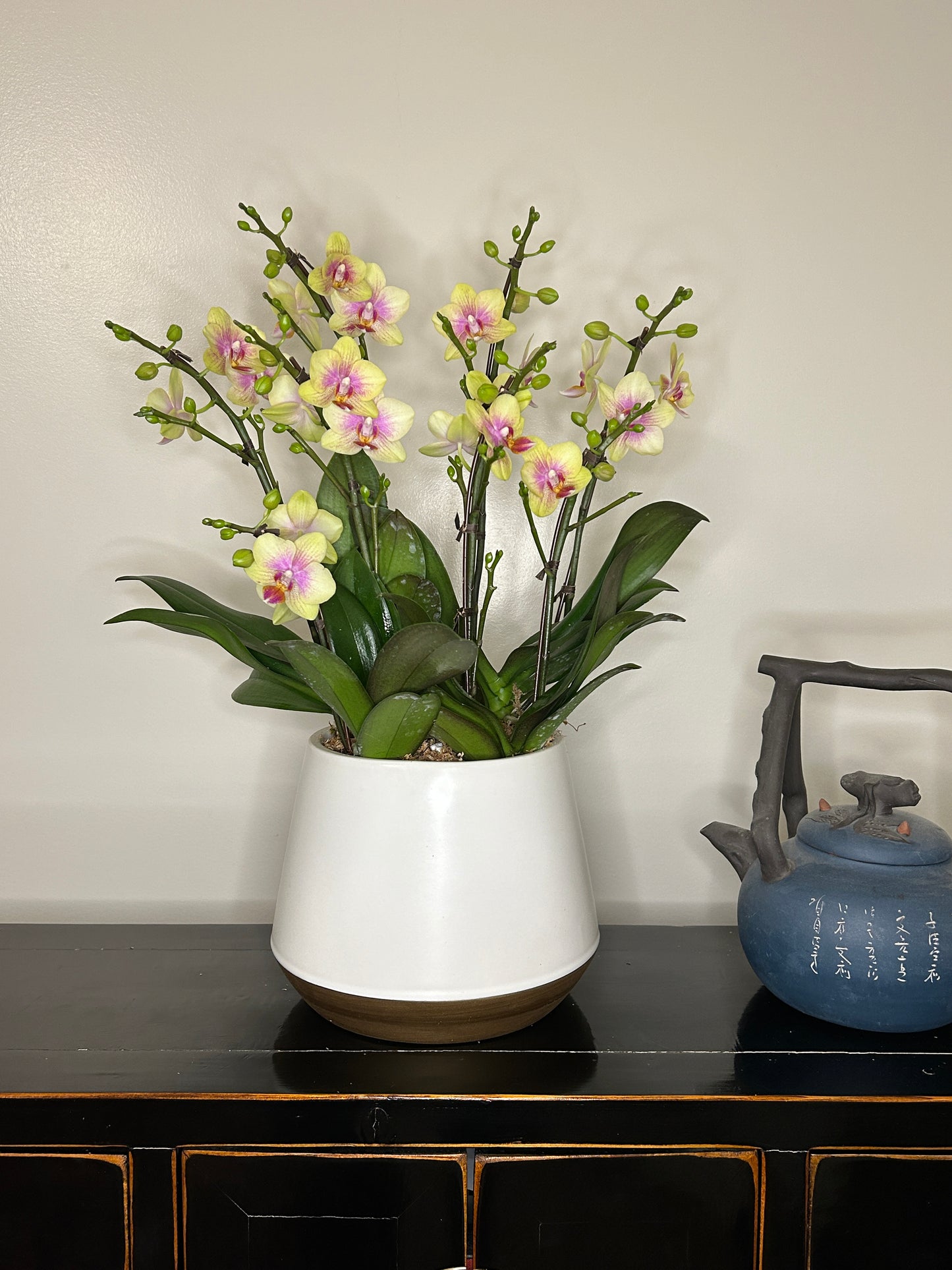 8 Stems mini Orchids arrangement
