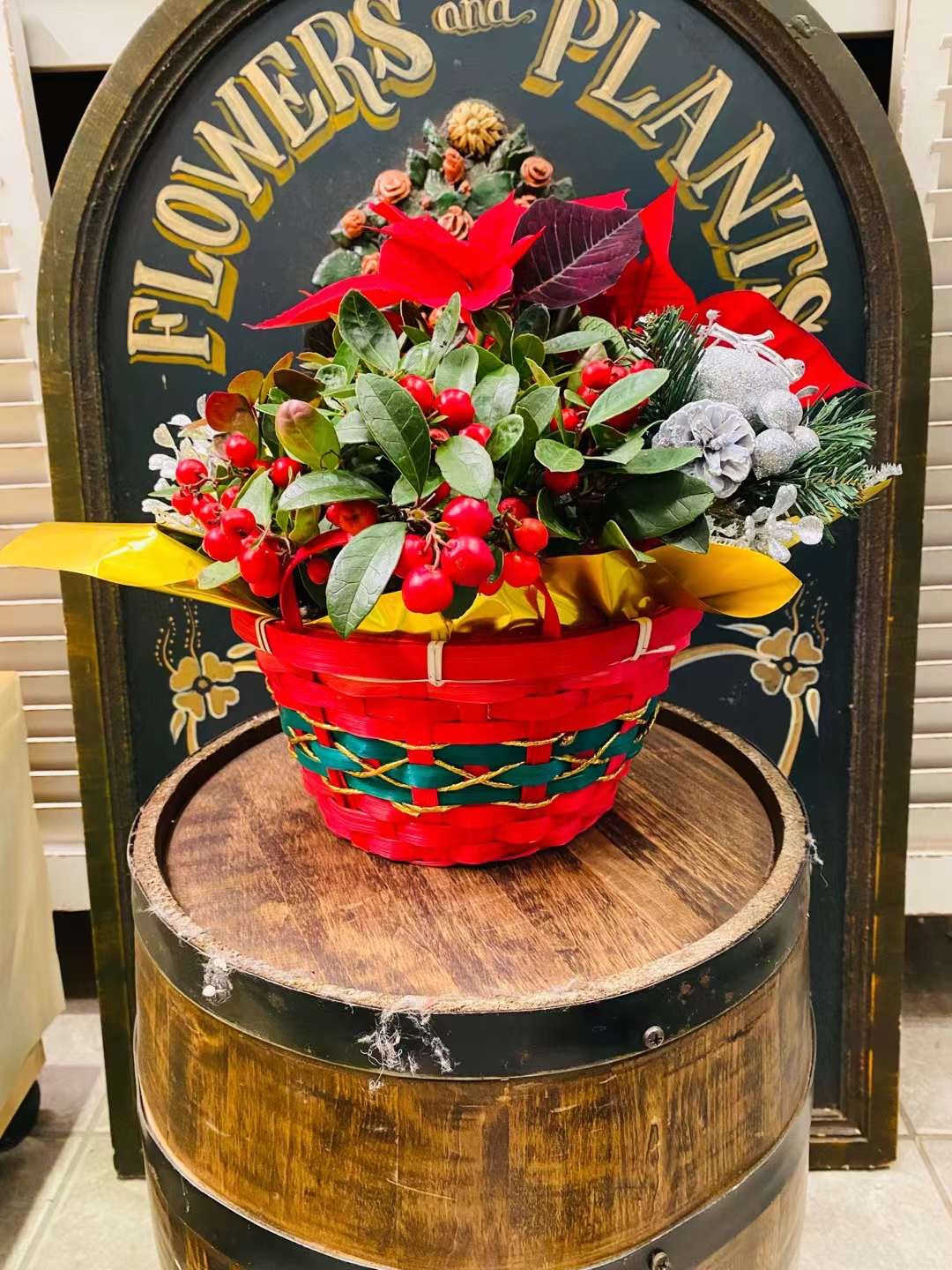 Christmas basket with Poinsettia