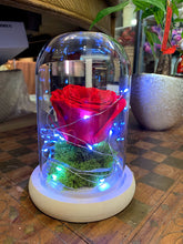 Load image into Gallery viewer, Forever Rose in Beauty Vase
