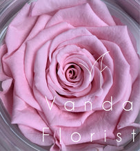 Load image into Gallery viewer, Graduation bear with Preserved Rose Gift
