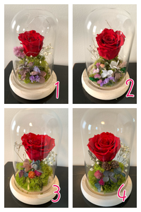 Forever Rose in Beauty Vase