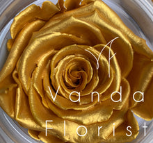 Load image into Gallery viewer, Graduation bear with Preserved Rose Gift
