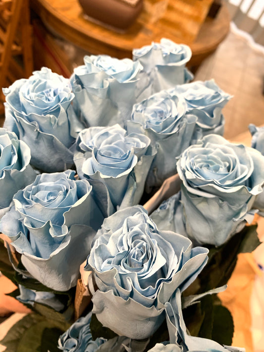 Sky Blue Roses