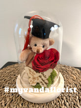Load image into Gallery viewer, Graduation bear with Preserved Rose Gift
